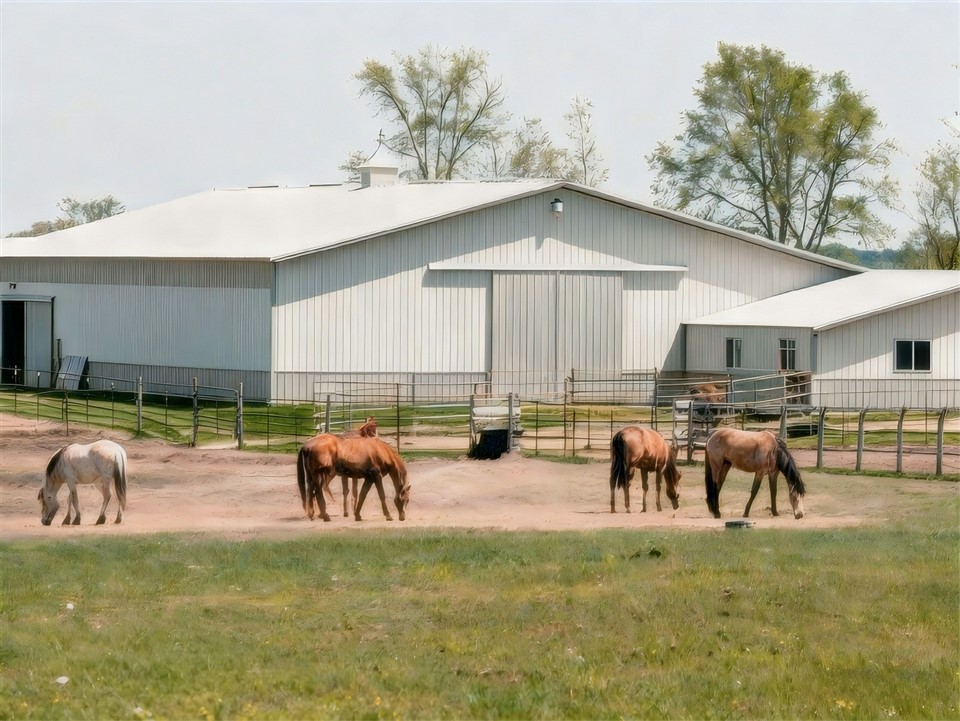 Estable prefabricat de cavalls